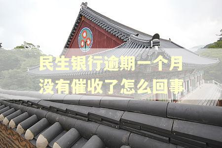 民生银行逾期一个月没有催收了怎么回事