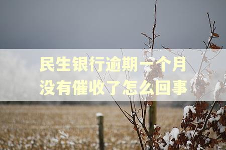 民生银行逾期一个月没有催收了怎么回事