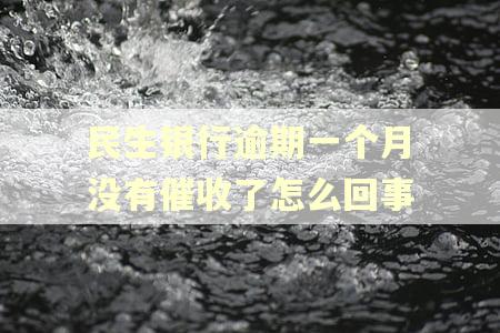 民生银行逾期一个月没有催收了怎么回事