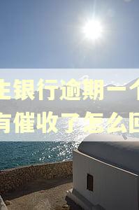 民生银行逾期一个月没有催收了怎么回事