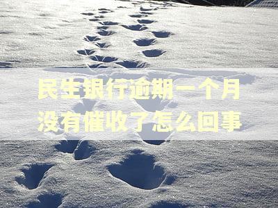 民生银行逾期一个月没有催收了怎么回事 民生银行逾期一个月没有催收了怎么回事