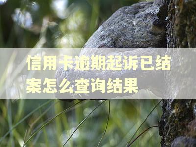 信用卡逾期起诉已结案怎么查询结果
