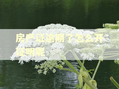 房产证逾期了怎么开证明呢
