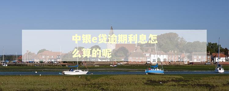 中银e贷逾期利息怎么算的呢