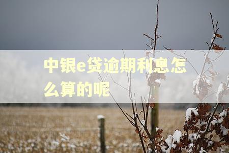 中银e贷逾期利息怎么算的呢