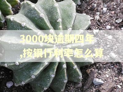 3000块逾期四年,按银行利率怎么算