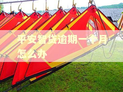 平安智贷逾期一个月怎么办