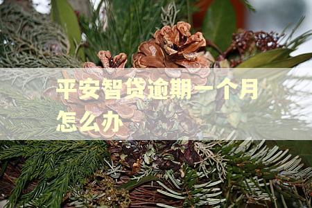 平安智贷逾期一个月怎么办