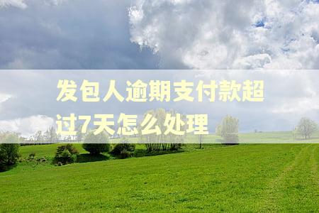 发包人逾期支付款超过7天怎么处理