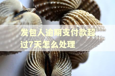 发包人逾期支付款超过7天怎么处理 发包人逾期支付款超过7天怎么处理