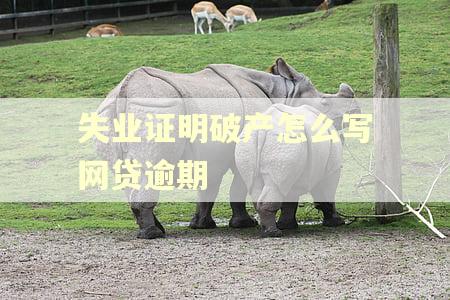 失业证明破产怎么写网贷逾期