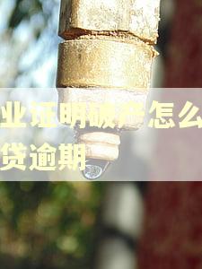 失业证明破产怎么写网贷逾期