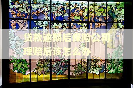 贷款逾期后保险公司理赔后该怎么办