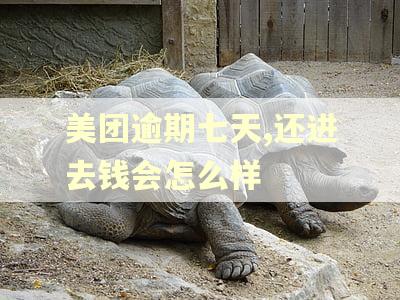 美团逾期七天,还进去钱会怎么样