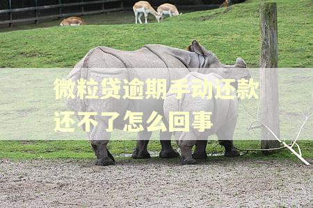 微粒贷逾期手动还款还不了怎么回事