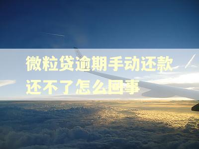 微粒贷逾期手动还款还不了怎么回事