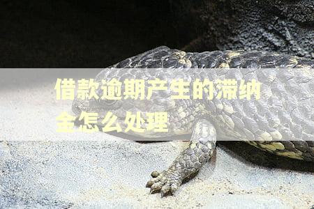 借款逾期产生的滞纳金怎么处理