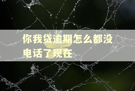 你我贷逾期怎么都没电话了现在