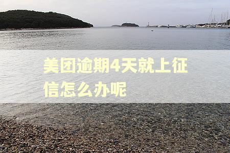 美团逾期4天就上征信怎么办呢