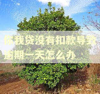 你我贷没有扣款导致逾期一天怎么办