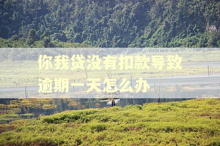 你我贷没有扣款导致逾期一天怎么办