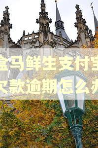 跑盒马鲜生支付宝里有欠款逾期怎么办