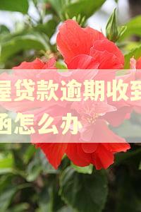 房屋贷款逾期收到律师函怎么办