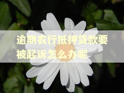 逾期农行抵押贷款要被起诉怎么办呢