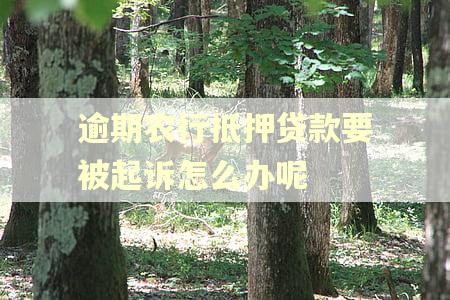 逾期农行抵押贷款要被起诉怎么办呢