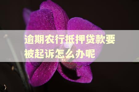 逾期农行抵押贷款要被起诉怎么办呢