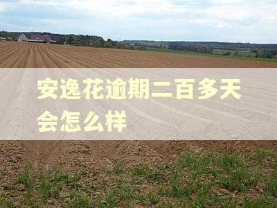 安逸花逾期二百多天会怎么样