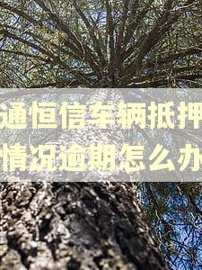 海通恒信车辆抵押特殊情况逾期怎么办