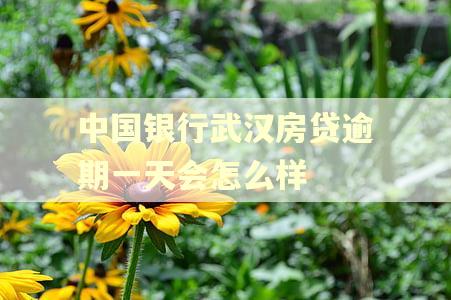 中国银行武汉房贷逾期一天会怎么样 中国银行武汉房贷逾期一天会怎么样
