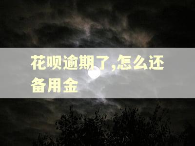 花呗逾期了,怎么还备用金