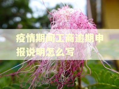 疫情期间工商逾期申报说明怎么写 疫情期间工商逾期申报说明怎么写