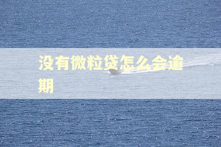 没有微粒贷怎么会逾期