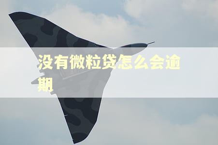 没有微粒贷怎么会逾期