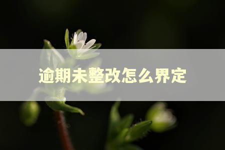逾期未整改怎么界定