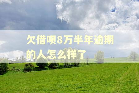 欠借呗8万半年逾期的人怎么样了