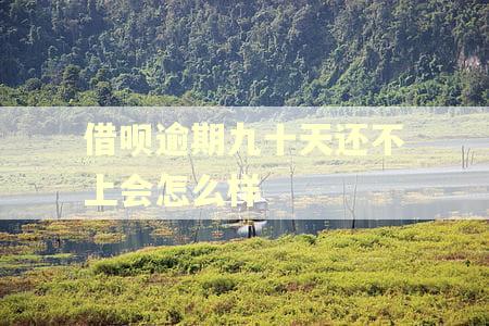 借呗逾期九十天还不上会怎么样