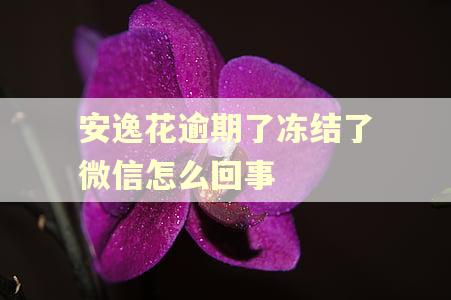 安逸花逾期了冻结了微信怎么回事