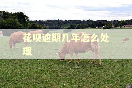 花呗逾期几年怎么处理