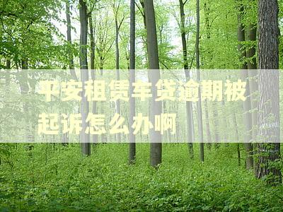 平安租赁车贷逾期被起诉怎么办啊 平安租赁车贷逾期被起诉怎么办啊