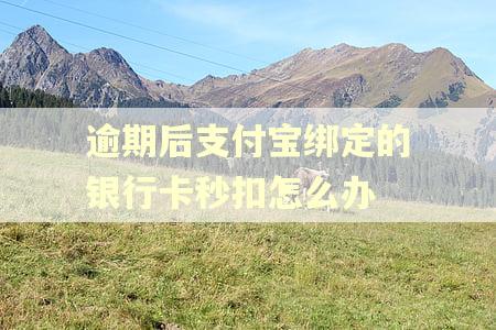 逾期后支付宝绑定的银行卡秒扣怎么办