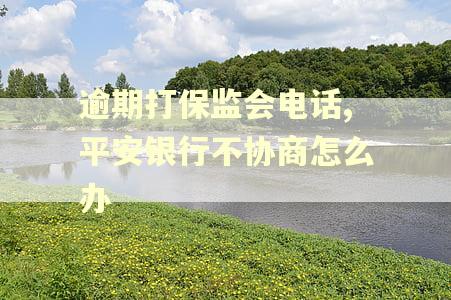 逾期打保监会电话,平安银行不协商怎么办