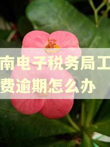 河南电子税务局工会经费逾期怎么办