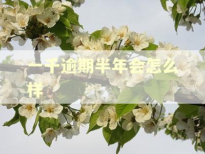 一千逾期半年会怎么样