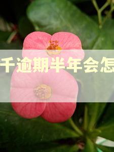 一千逾期半年会怎么样