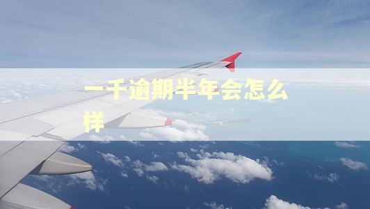 一千逾期半年会怎么样