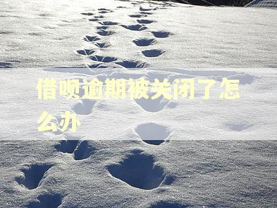 借呗逾期被关闭了怎么办